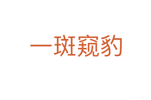 一斑窥豹