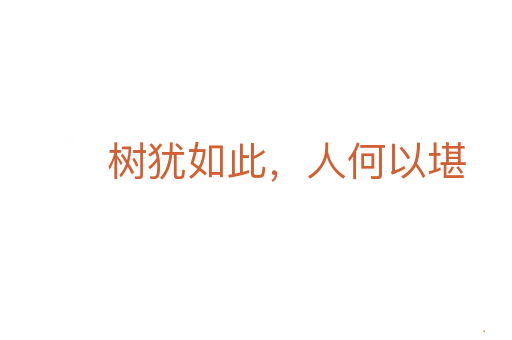 树犹如此,人何以堪