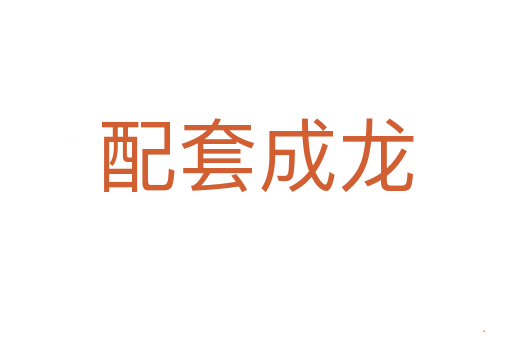 配套成龙