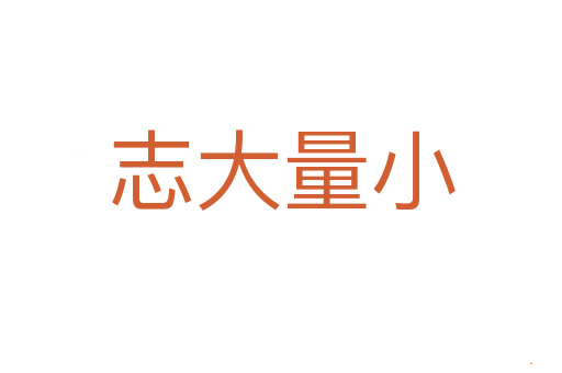 志大量小