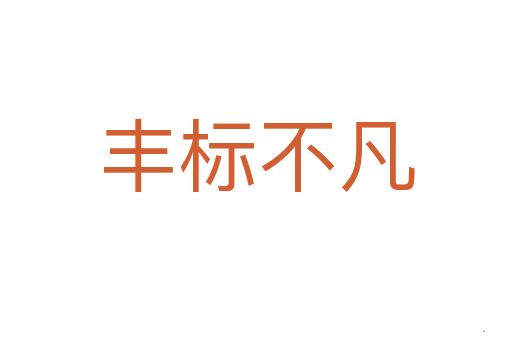 丰标不凡