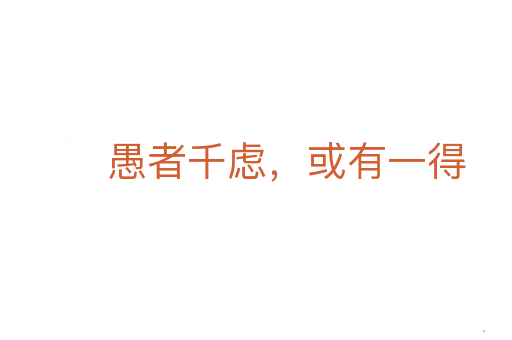 愚者千虑,或有一得