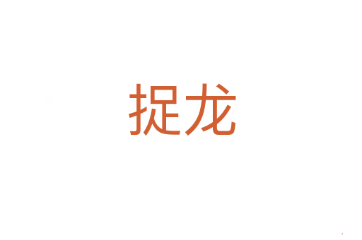 捉龙