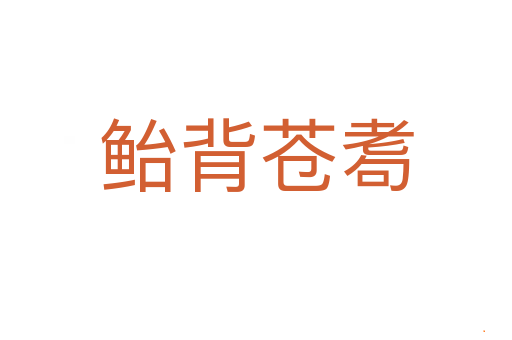 鲐背苍耈
