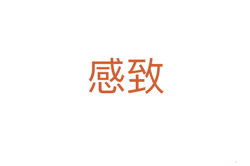 感致