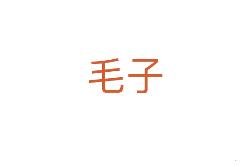 毛子