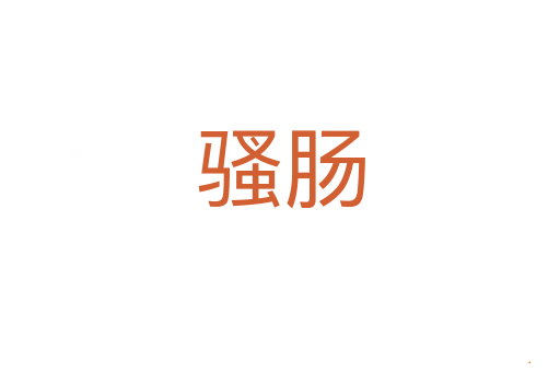 骚肠