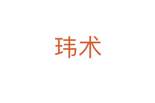 玮术