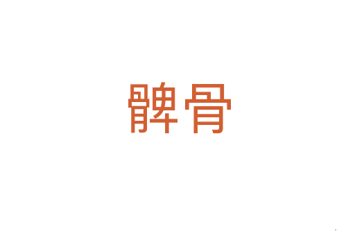 髀骨
