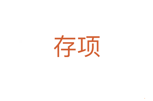 存项
