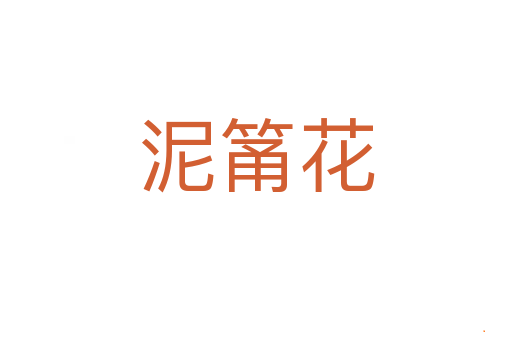 泥筩花