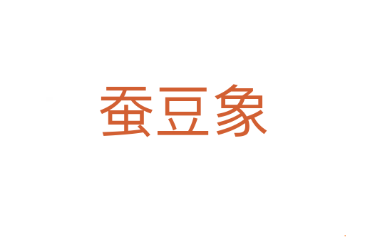 蚕豆象