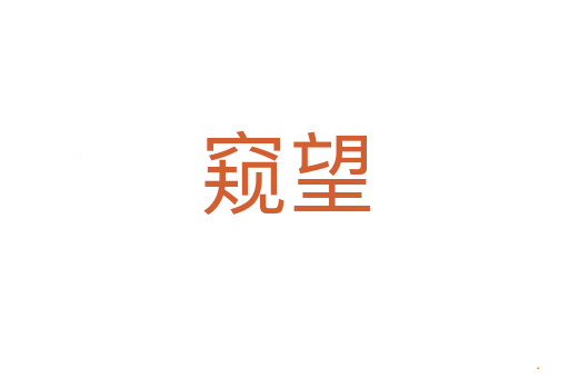 窥望