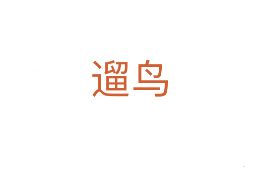 遛鸟