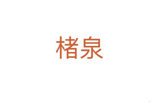 楮泉