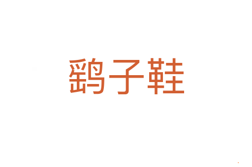 鹞子鞋