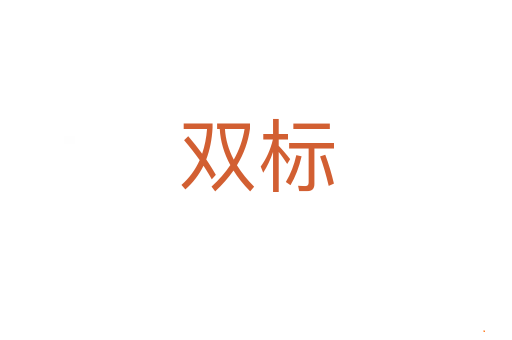 双标