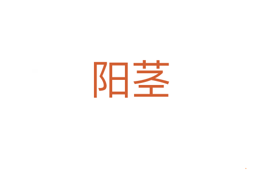 阳茎