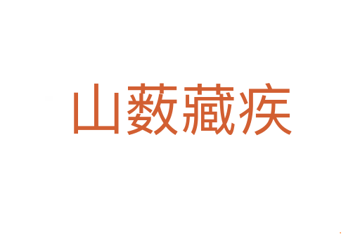 山薮藏疾
