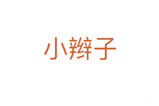 小辫子