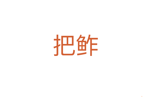 把鲊