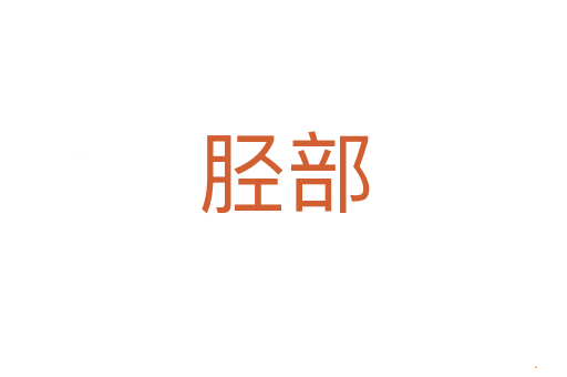 胫部