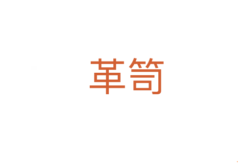 革笥