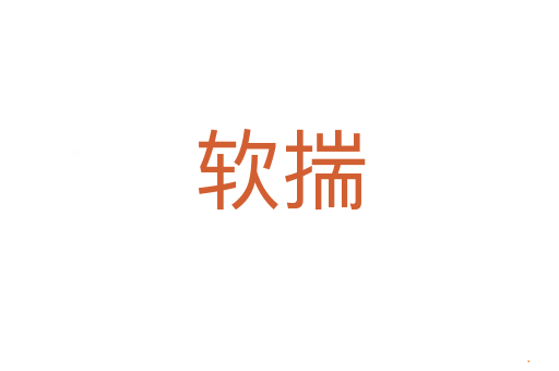 软揣