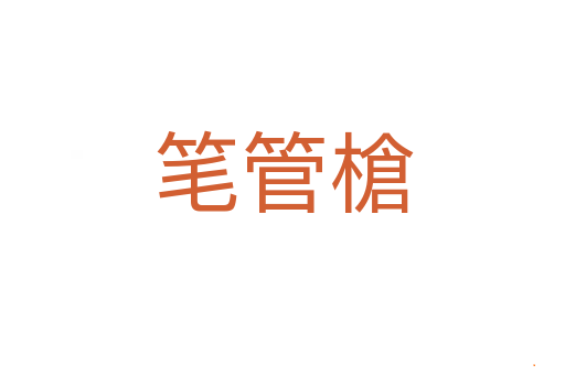 笔管槍