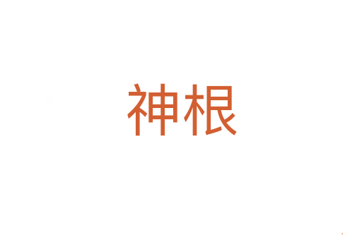 神根