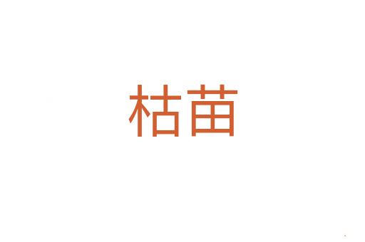 枯苗