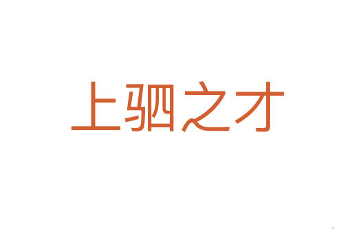 上驷之才