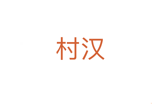 村汉