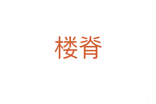 楼脊