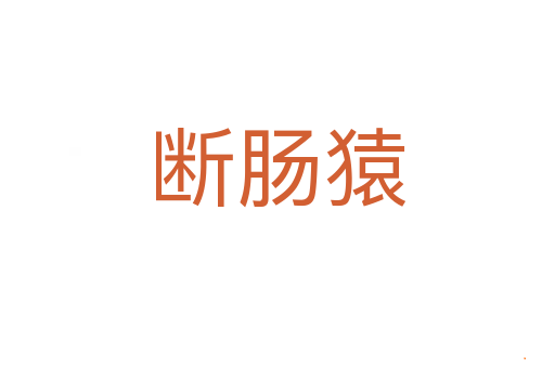 断肠猿