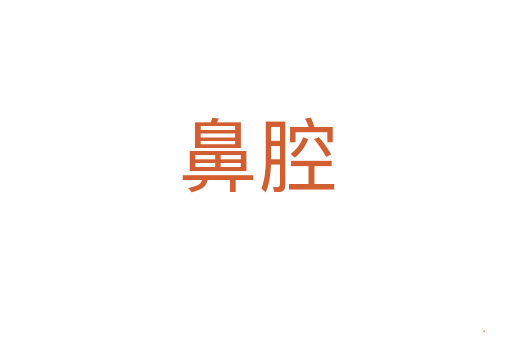 鼻腔