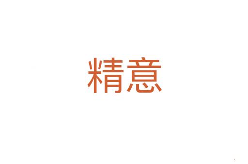 精意