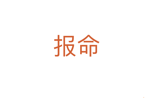 报命