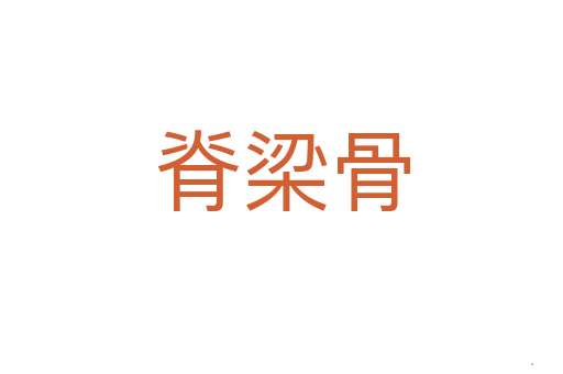 脊梁骨