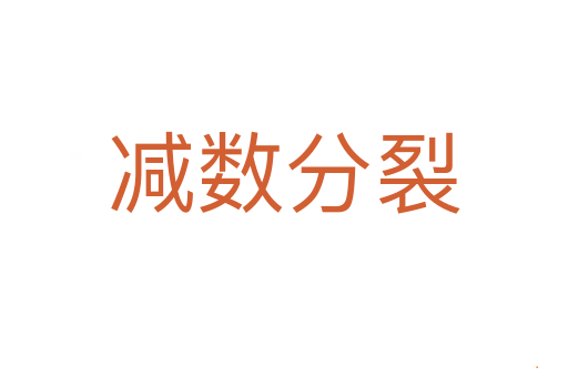 减数分裂