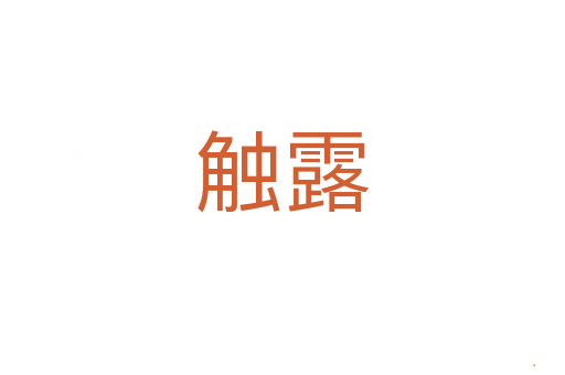 触露
