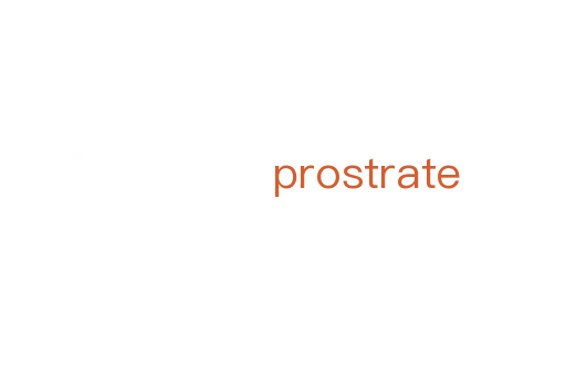 prostrate
