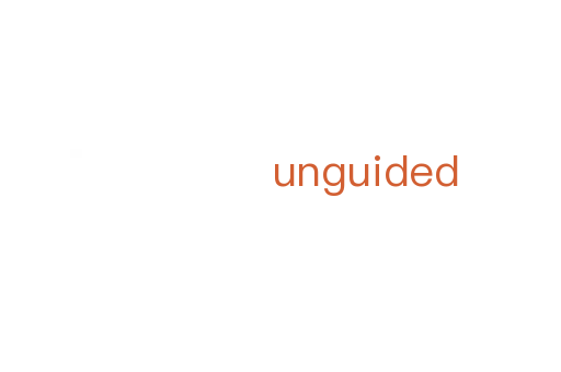 unguided