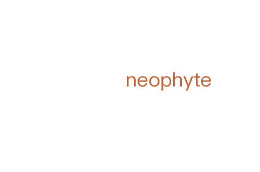 neophyte