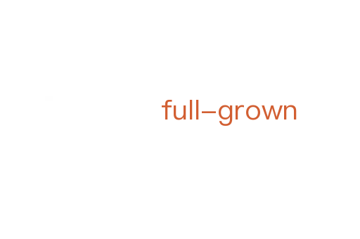 full-grown