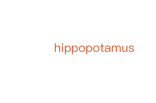 hippopotamus
