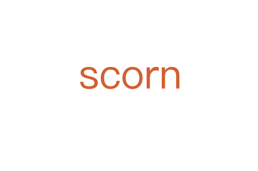 scorn