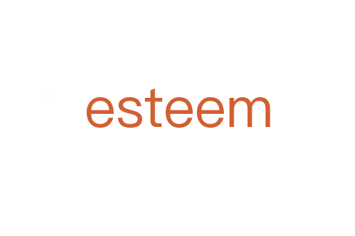 esteem