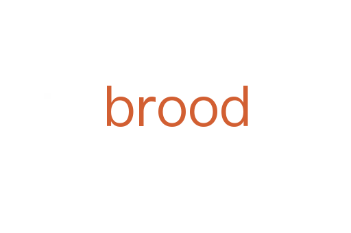 brood