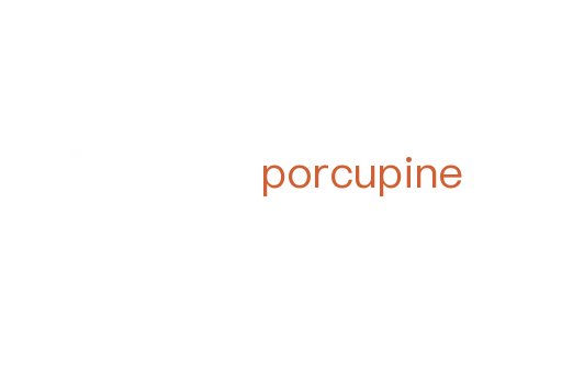 porcupine